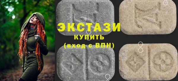 индика Порхов