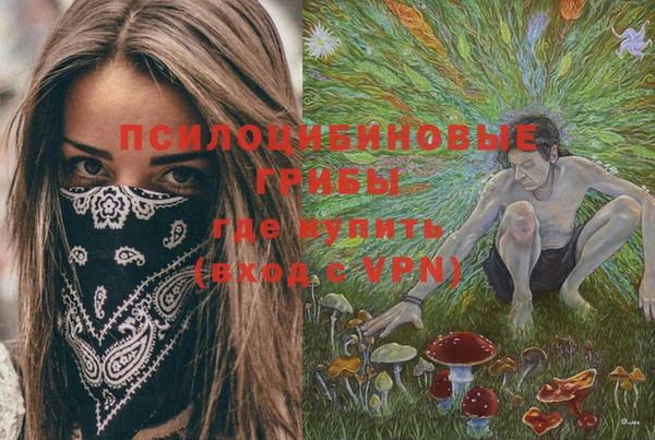 гашик Пенза