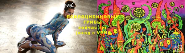 гашик Пенза