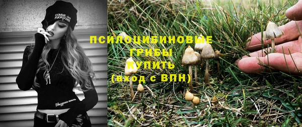 ПСИЛОЦИБИНОВЫЕ ГРИБЫ Хадыженск