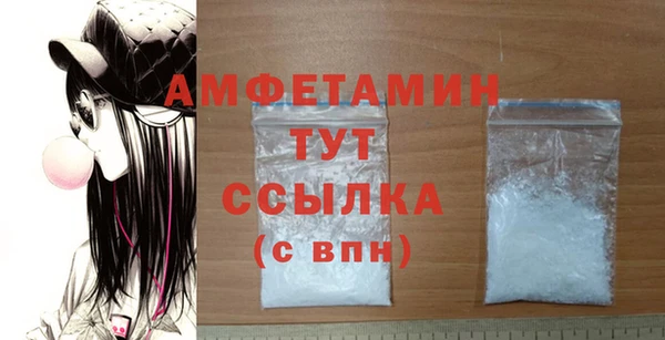 индика Порхов